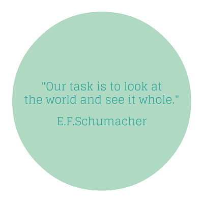 Our task is to look at the world and see it whole - EF Schumacher