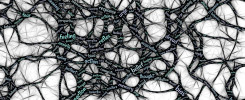 Economy-systems-thinking-research-sustainability-economics